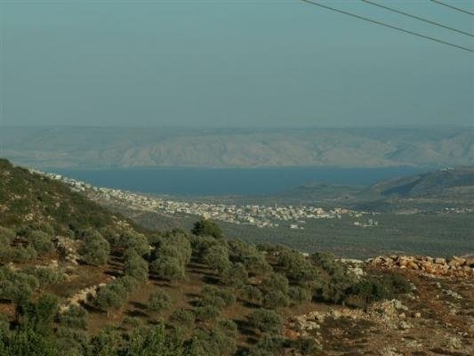 ברוכים הבאים לאתר מכמנים. באתר תוכלו למצא מידע על הישוב הנפלא שלנו להתעדכן על הפעיליות השונות.